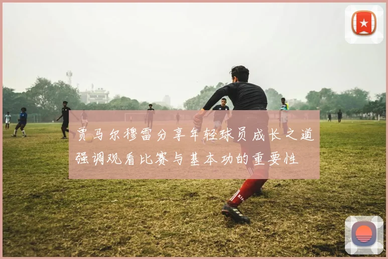 贾马尔穆雷分享年轻球员成长之道强调观看比赛与基本功的重要性